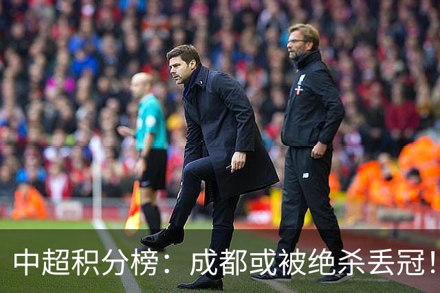 中超积分榜：成都或被绝杀丢冠！河南队保级上岸，武汉提前降级