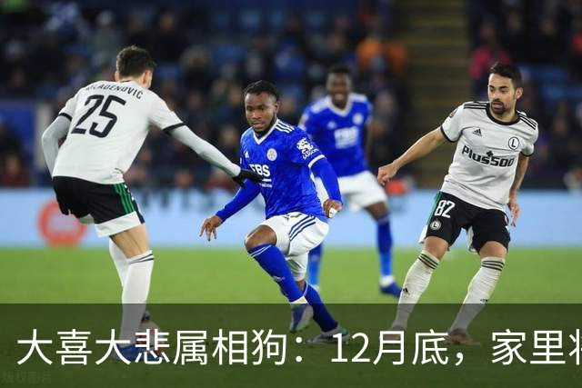 大喜大悲属相狗：12月底，家里将发生5件大事，提前准备