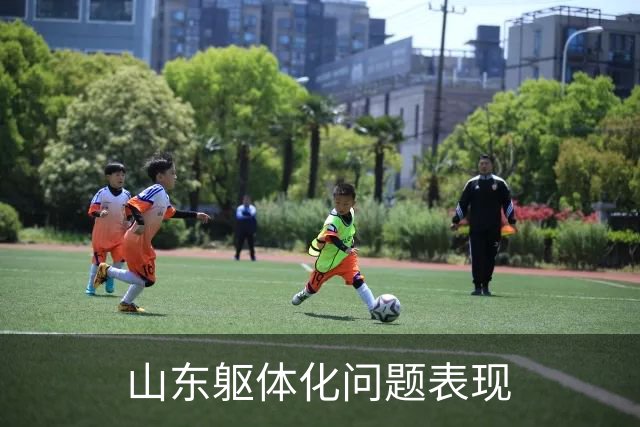 山东躯体化问题表现