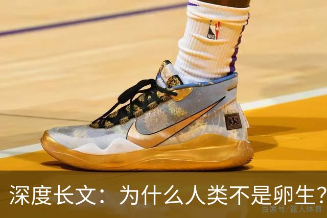 深度长文：为什么人类不是卵生？说出来你可能不信，这事3亿年前就定好了