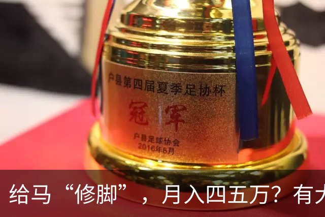 给马“修脚”，月入四五万？有大三学生“弃医”学修蹄