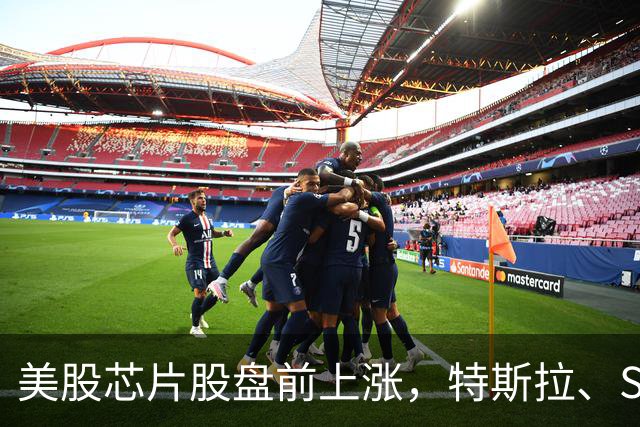 美股芯片股盘前上涨，特斯拉、SK海力士涨超2%，中概股苏轩堂药业大跌超99%
