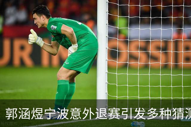 郭涵煜宁波意外退赛引发多种猜测，网友趣评莱巴击败卡瓦：逗你玩