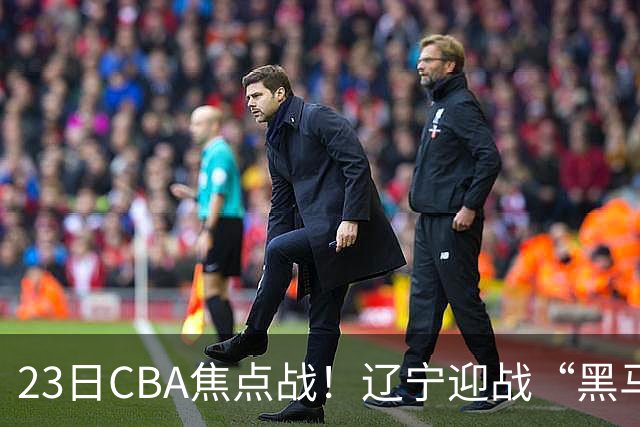 23日CBA焦点战！辽宁迎战“黑马”，段睿骐战旧主，乌戈冲击3连胜
